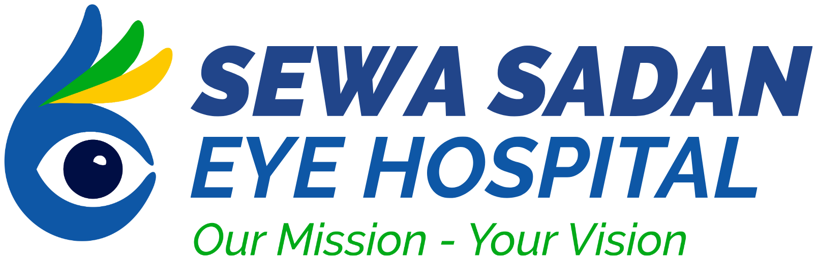 Sewa Sadan Eye Hospital